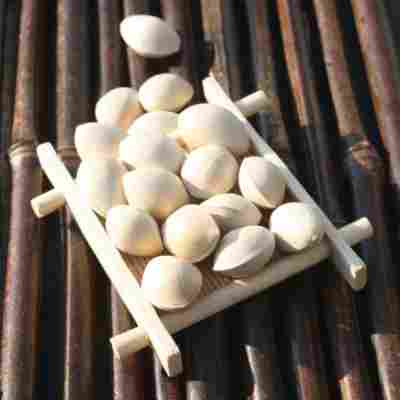 2024年新鲜银杏果 白果大颗粒3斤装 邳州特产送开果器和食谱