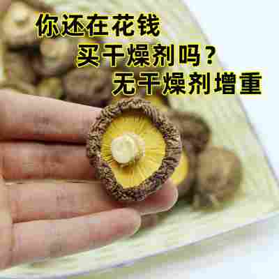 菌菇包商用 漂锅菌菇食材 姬松茸鹿茸菇香菇片菌汤火锅底料批发