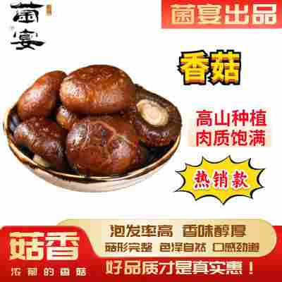 福田古田香菇肉厚饱满泡发率高菇香浓郁菇肥鲜嫩煲汤可口色泽金黄