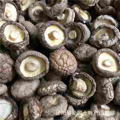 新货西峡香菇干货500g饭店餐饮散装批发无根冬菇黄焖鸡花菇香菇干