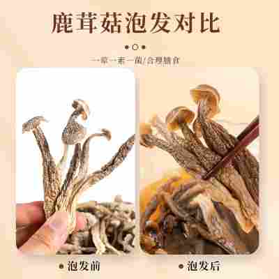 无干燥剂 鹿茸菇干货批发碎块鹿茸菇包装袋500克香菇菌菇煲汤炒菜