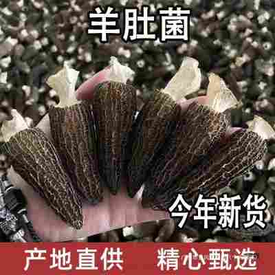 野生云南羊肚价孕妇干货煲汤食材农家产滋补养生群木普通香菇其他