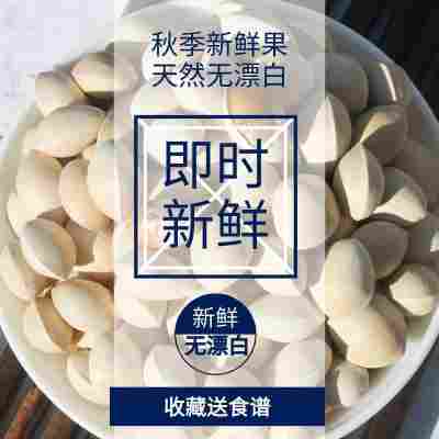 2024年新鲜银杏果 白果大颗粒3斤装 邳州特产送开果器和食谱