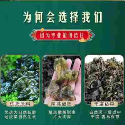 地皮菜甘肃农家土特产干货地衣地软地达木耳雷公菌非免洗野生地衣
