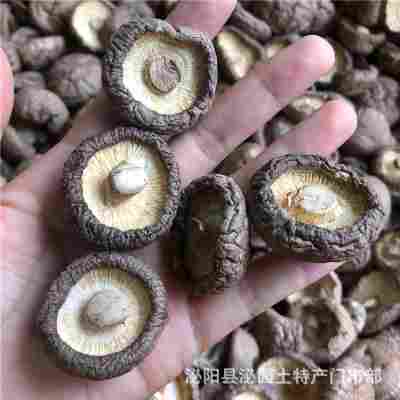 新货西峡香菇干货500g饭店餐饮散装批发无根冬菇黄焖鸡花菇香菇干