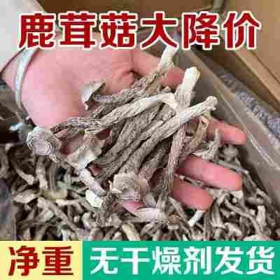 250g-鹿茸菇碎块成沙净重【足斤足两】