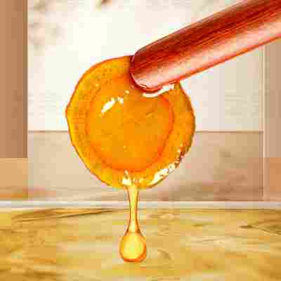 艺笑堂人参蜜片10克盒装可搭西洋参蜜片天麻蜜片人参蜜片现货代发