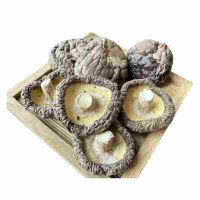 新货西峡香菇干货500g饭店餐饮散装批发无根冬菇黄焖鸡花菇香菇干