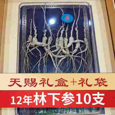12年林下参10支(30克)/礼盒装