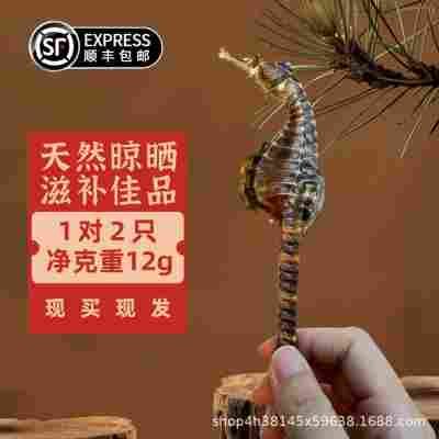 【公母配对】大于12g