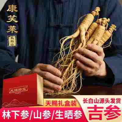 250克吉林特产山参天赐礼盒东北林下参白参生晒参泡酒料一件代发