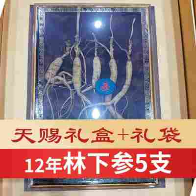 12年林下参5支(15克)/礼盒装