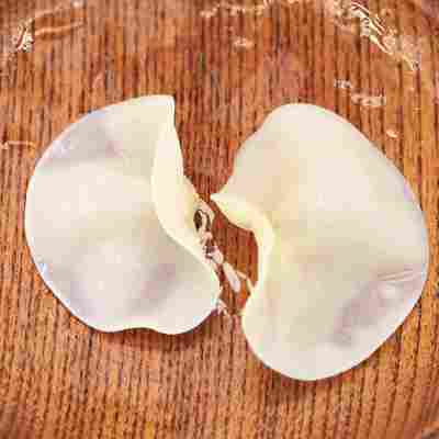 东北特产长白山白木耳食用菌加工500克木耳干货白玉木耳批 玉木耳