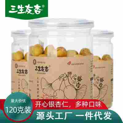 源头工厂定制开心银杏仁120g罐装即食白果银杏果徐州特产坚果零食