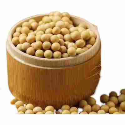 东北农家黄豆500克新货优质黄豆颗粒饱满 打豆浆专用黄豆多规格