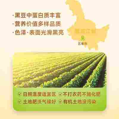 禾小町五常有机黑豆瓶装东北绿心黑豆黑豆乌豆浆有机绿心黑豆