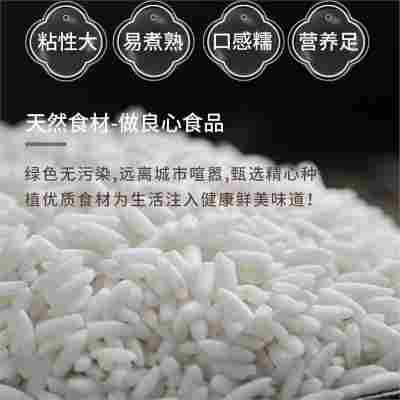 【今年新米】甜酒长粒糯米包粽子长粒香糯米糯米酒养生茶养生便宜
