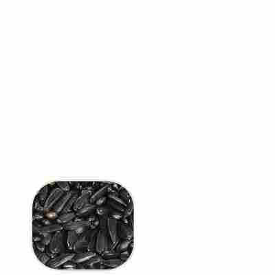 仓鼠零食小黑瓜子仓鼠粮食仓鼠饲料套餐面包虫干磨牙生瓜籽