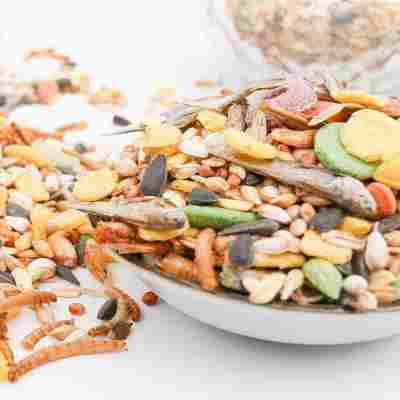 搭配加餐-海鲜粮2斤