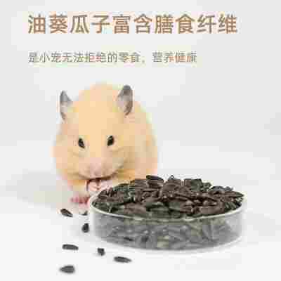 仓鼠零食小黑瓜子仓鼠粮食仓鼠饲料套餐面包虫干磨牙生瓜籽